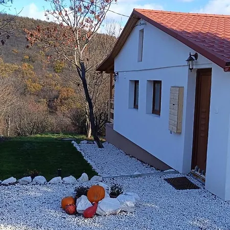 Hilltop Cottage In Szentendre, Mountain View, Terrace, Garden Exterior photo
