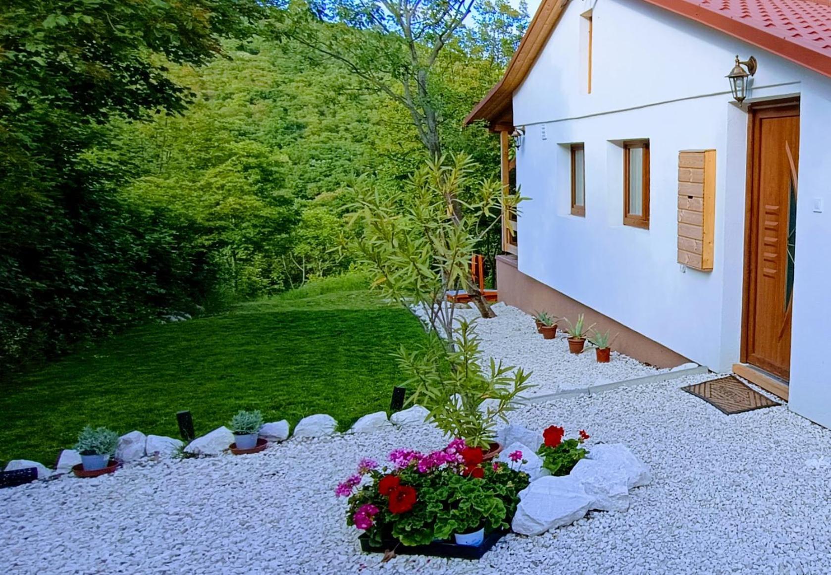 Hilltop In Szentendre, Mountain View, Terrace, Garden * Szentendre